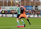 130406 SCG IJsselmeervogels (6)